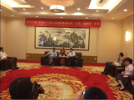 顶易软件