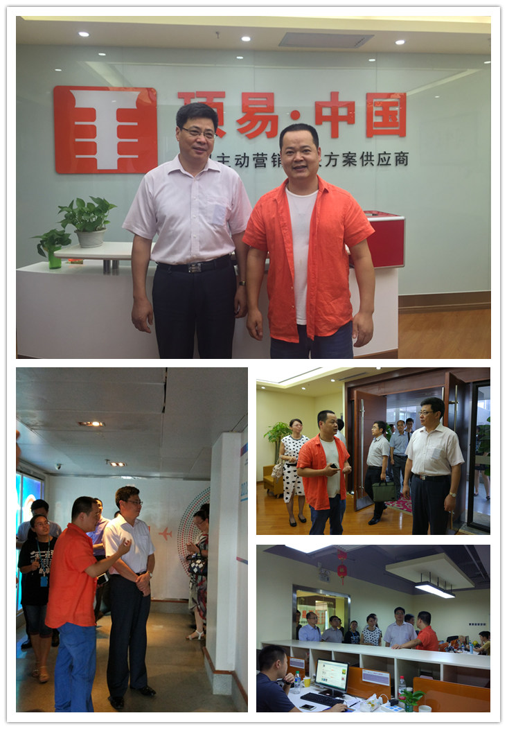 顶易软件