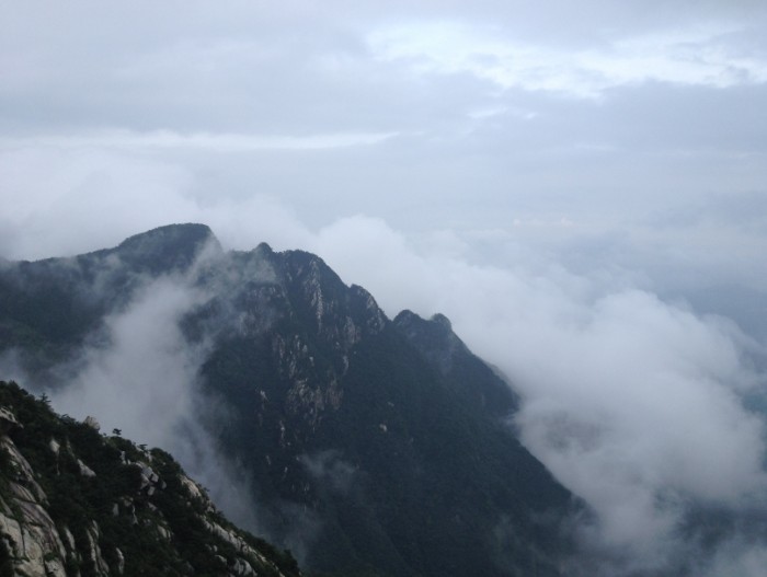 顶易软件