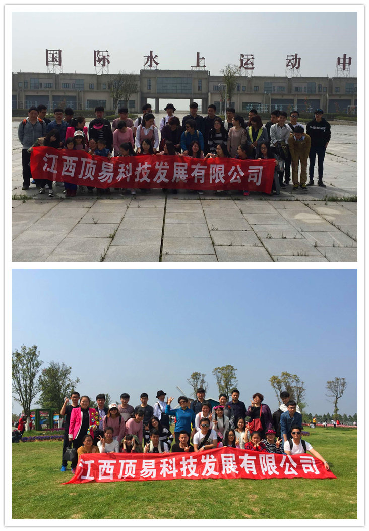 顶易软件